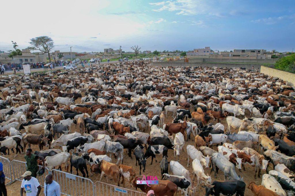 magal 2025 chez sokhna aida