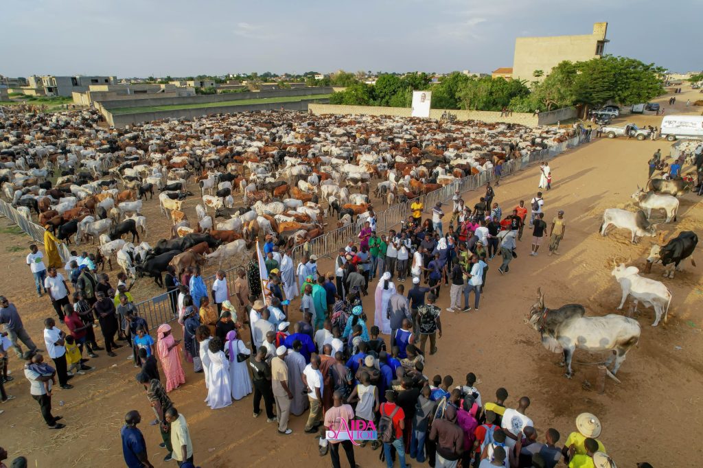 magal 2025 chez sokhna aida
